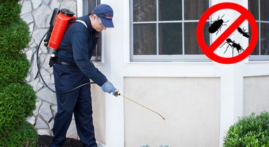 Kemeraltı Akrep İlaçlama böcek ilaçlama ve haşere kontrolü — ilaclama-tr.com